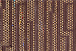 Terra-Cotta Upholstery